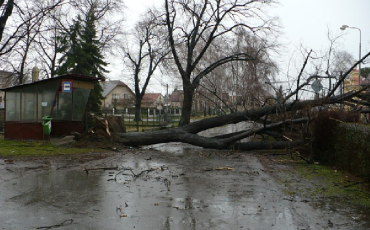 Následky orkánu Emma